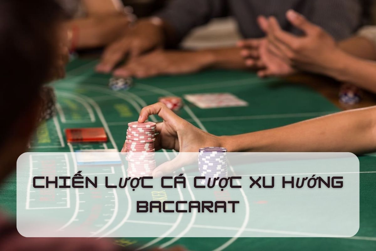 《Phương pháp cá cược xu hướng Baccarat》Năm điểm chính giảng dạy thực chiến