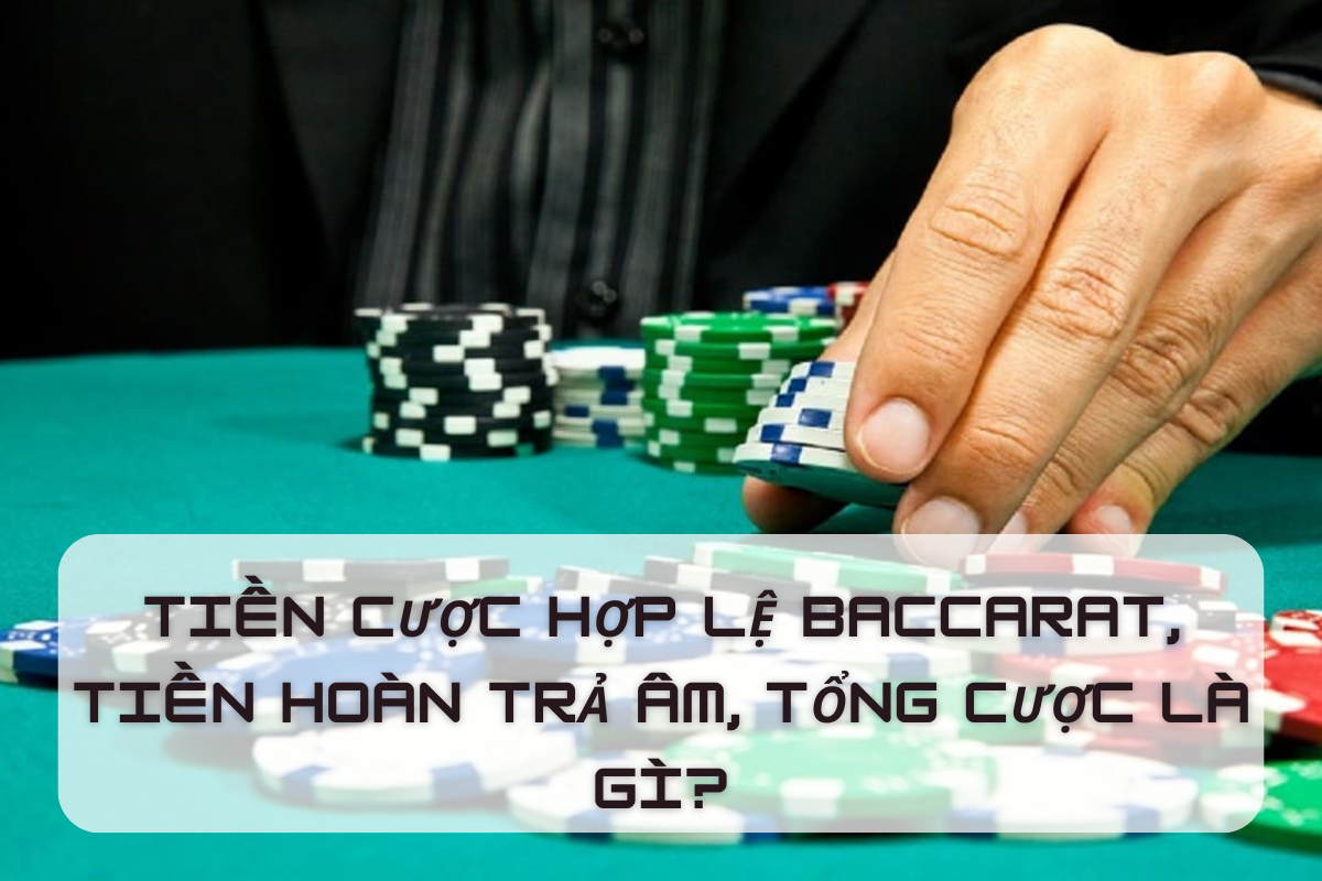 Nhìn hiểu tiền cược hợp lệ Baccarat và tiền hoàn trả âm, tính toán hợp lệ tổng cược